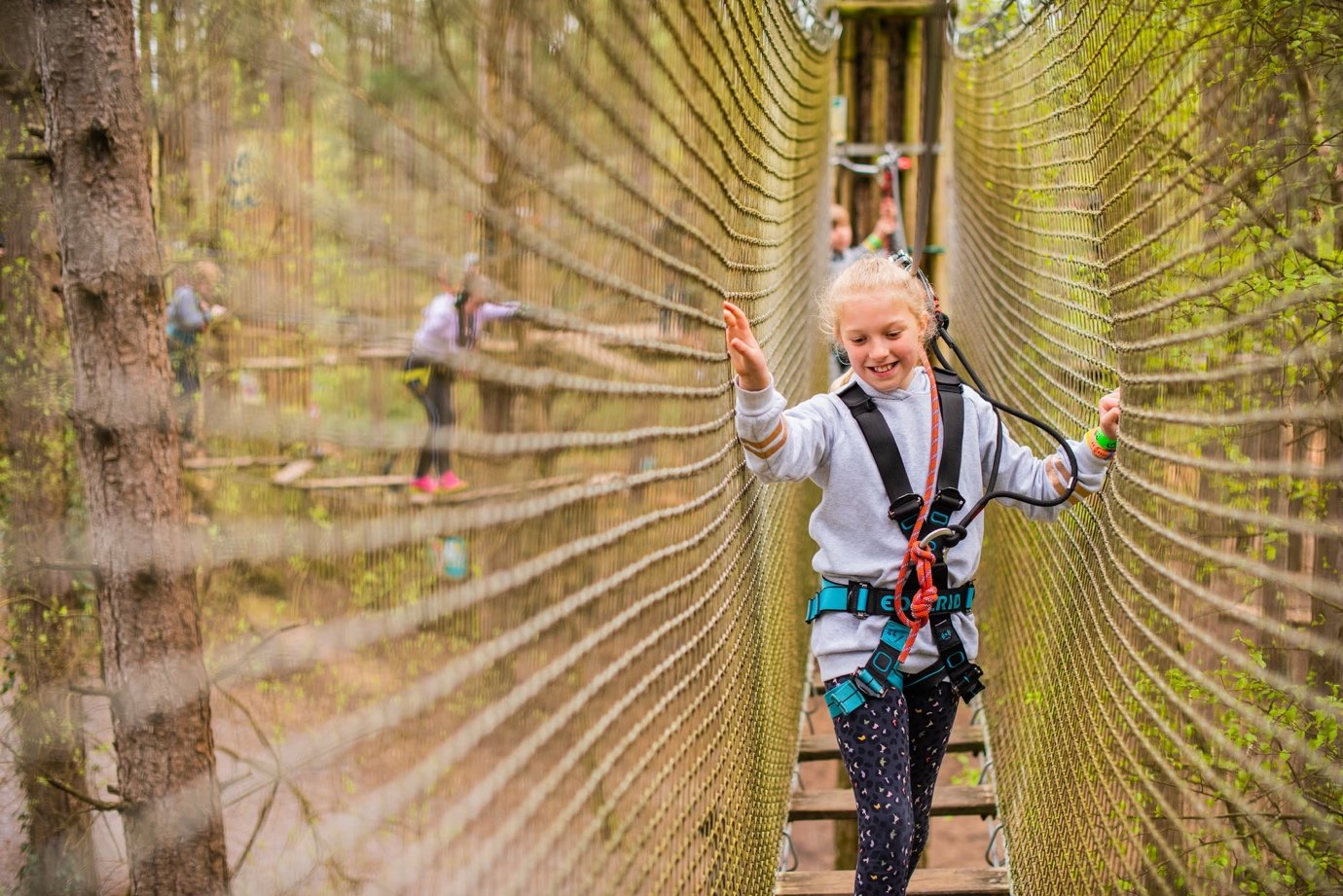Go Ape Moors Valley